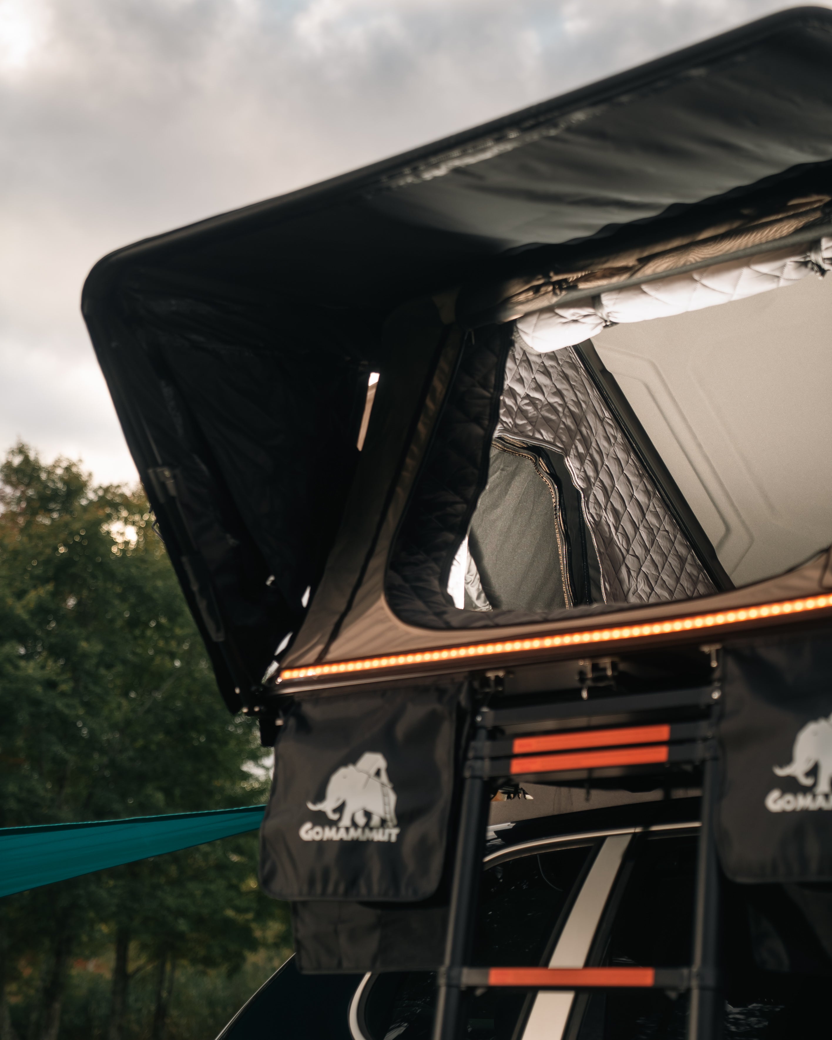 Bison 2.0 - The Ultimate RTT gomammut.com