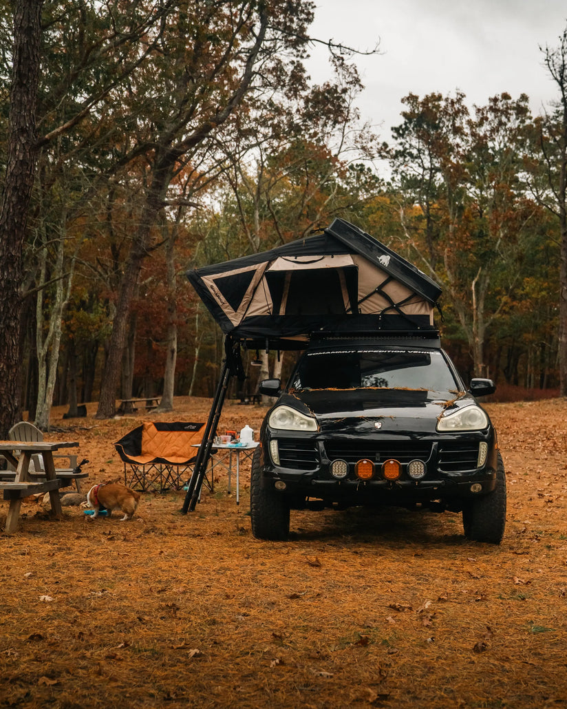 Bison 2.0 - The Ultimate RTT gomammut.com