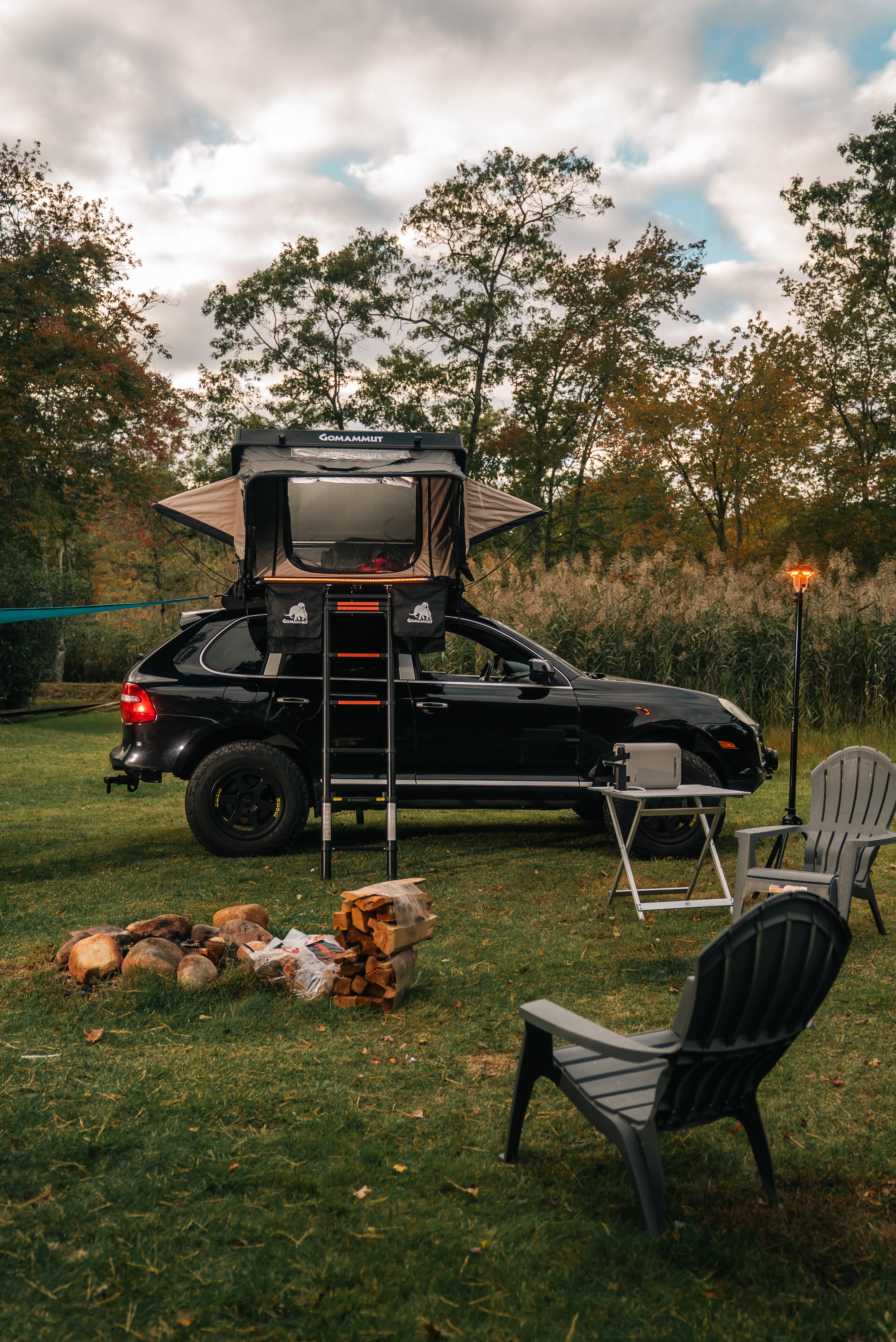 Bison 2.0 - The Ultimate RTT gomammut.com