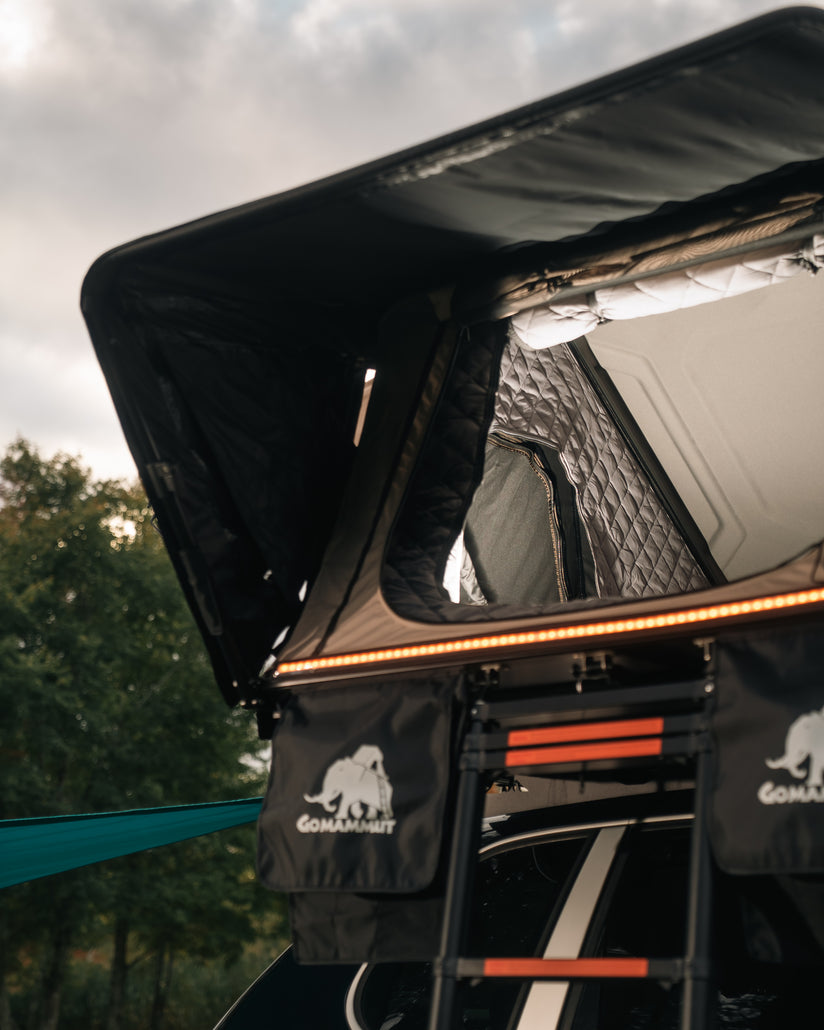 Bison 2.0 - The Ultimate RTT gomammut.com