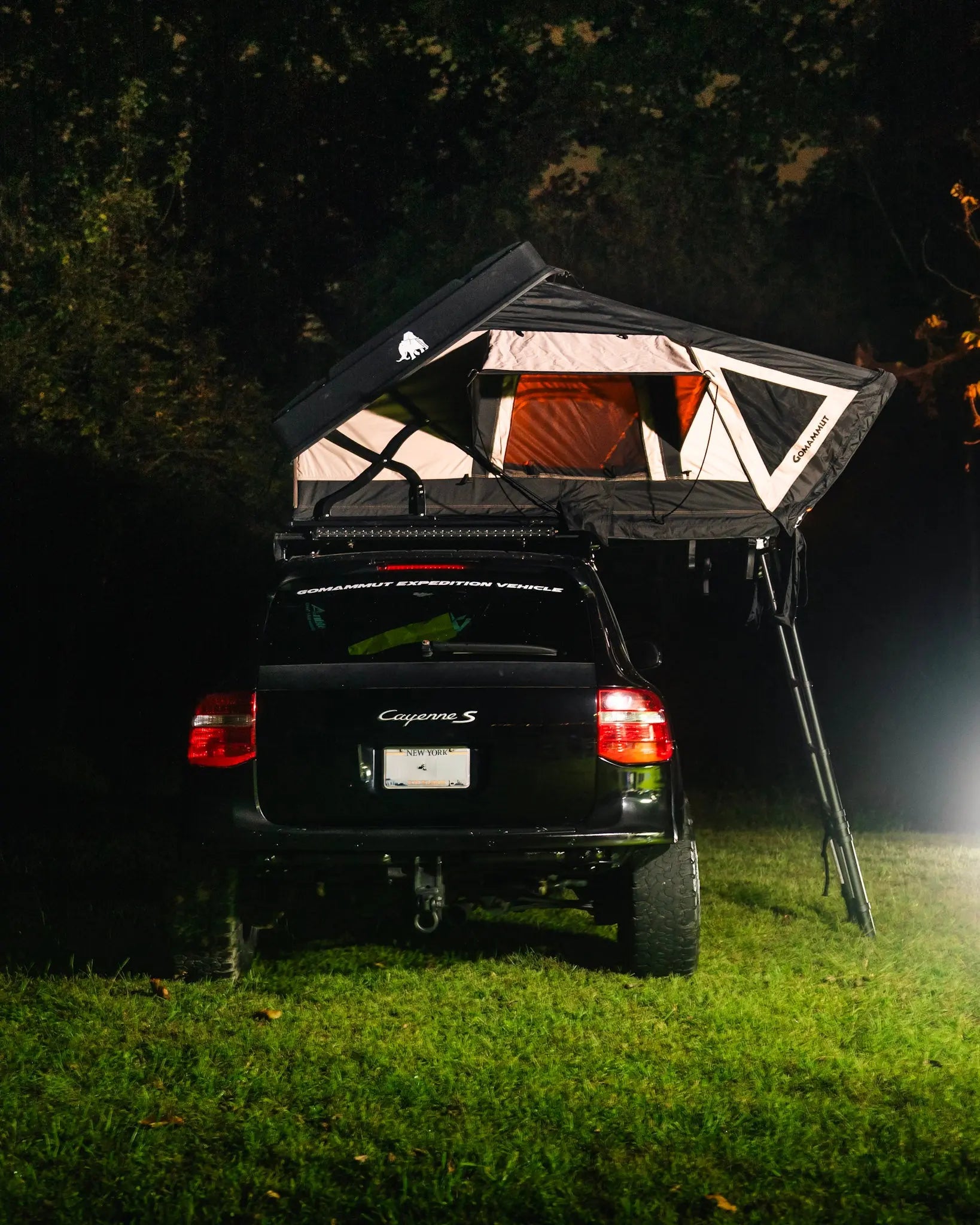 Bison 2.0 - The Ultimate RTT gomammut.com